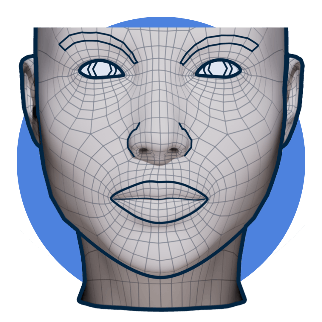 Anatomy