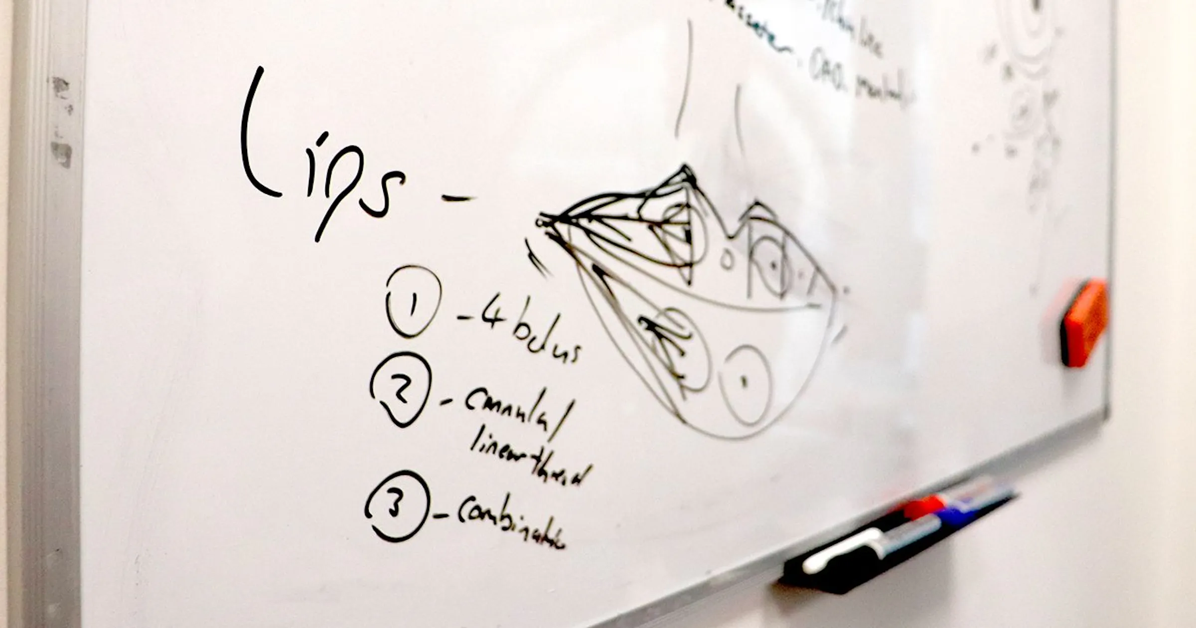 Lips Diffuse Map Lip Anatomy: Surface Guide for Aesthetics Practitioners