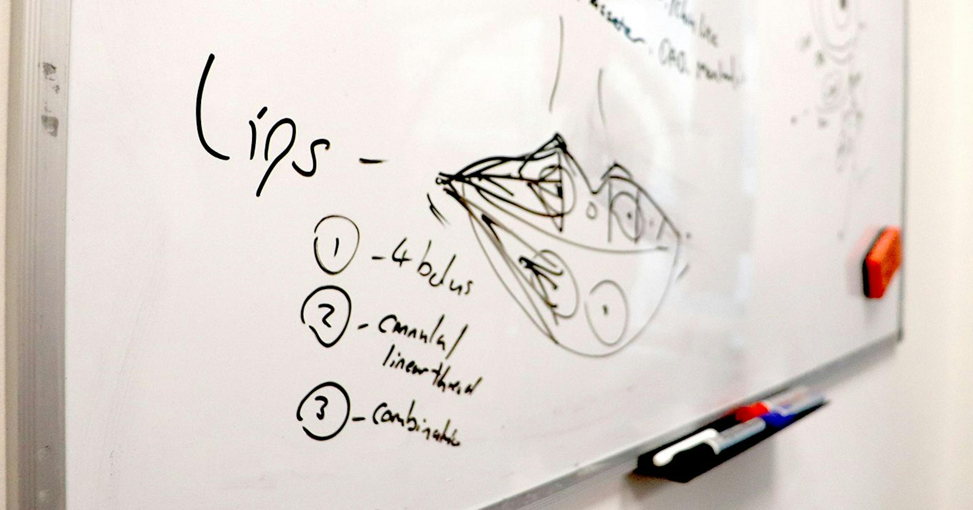 Lip Anatomy: Surface Guide for Aesthetics Practitioners | Harley Academy