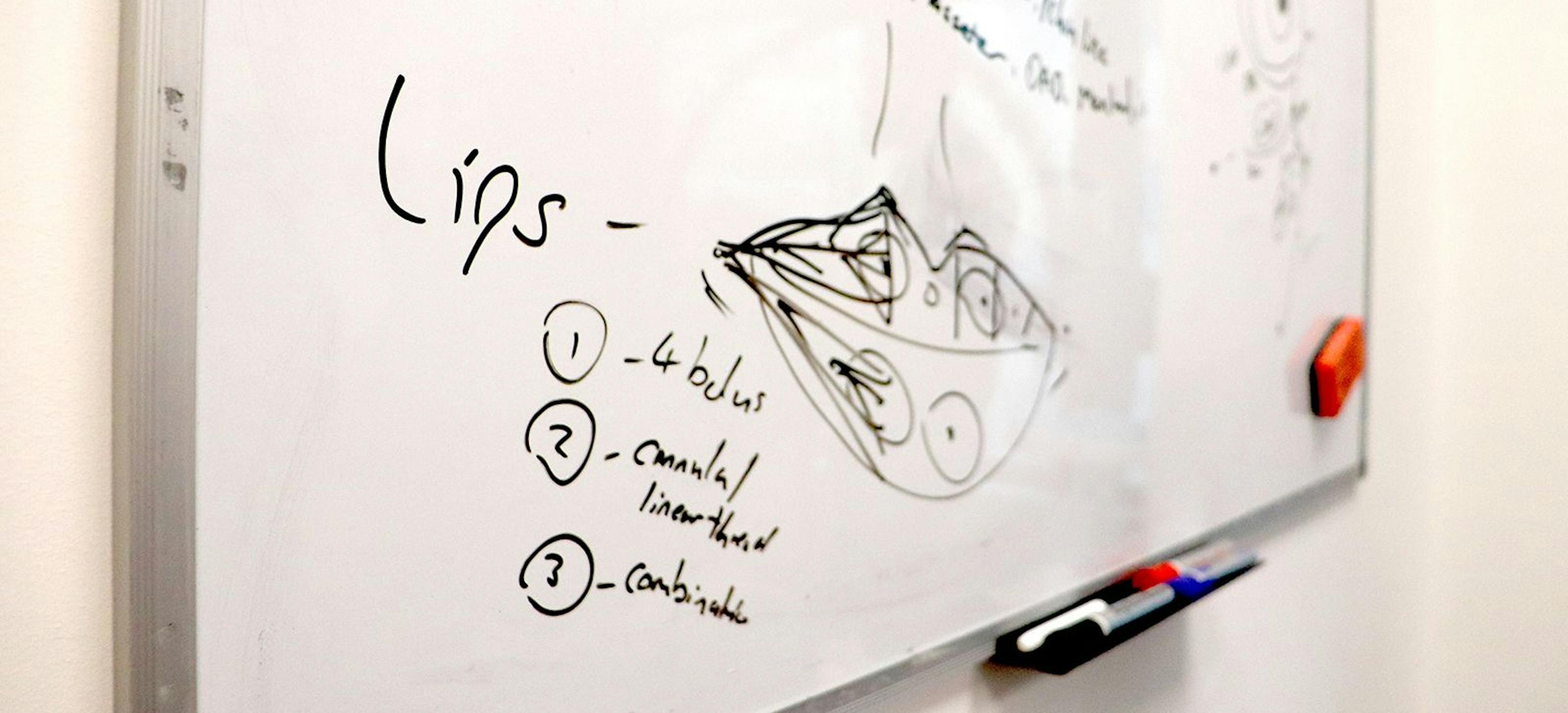 Lip Anatomy: Surface Guide for Aesthetics Practitioners | Harley Academy