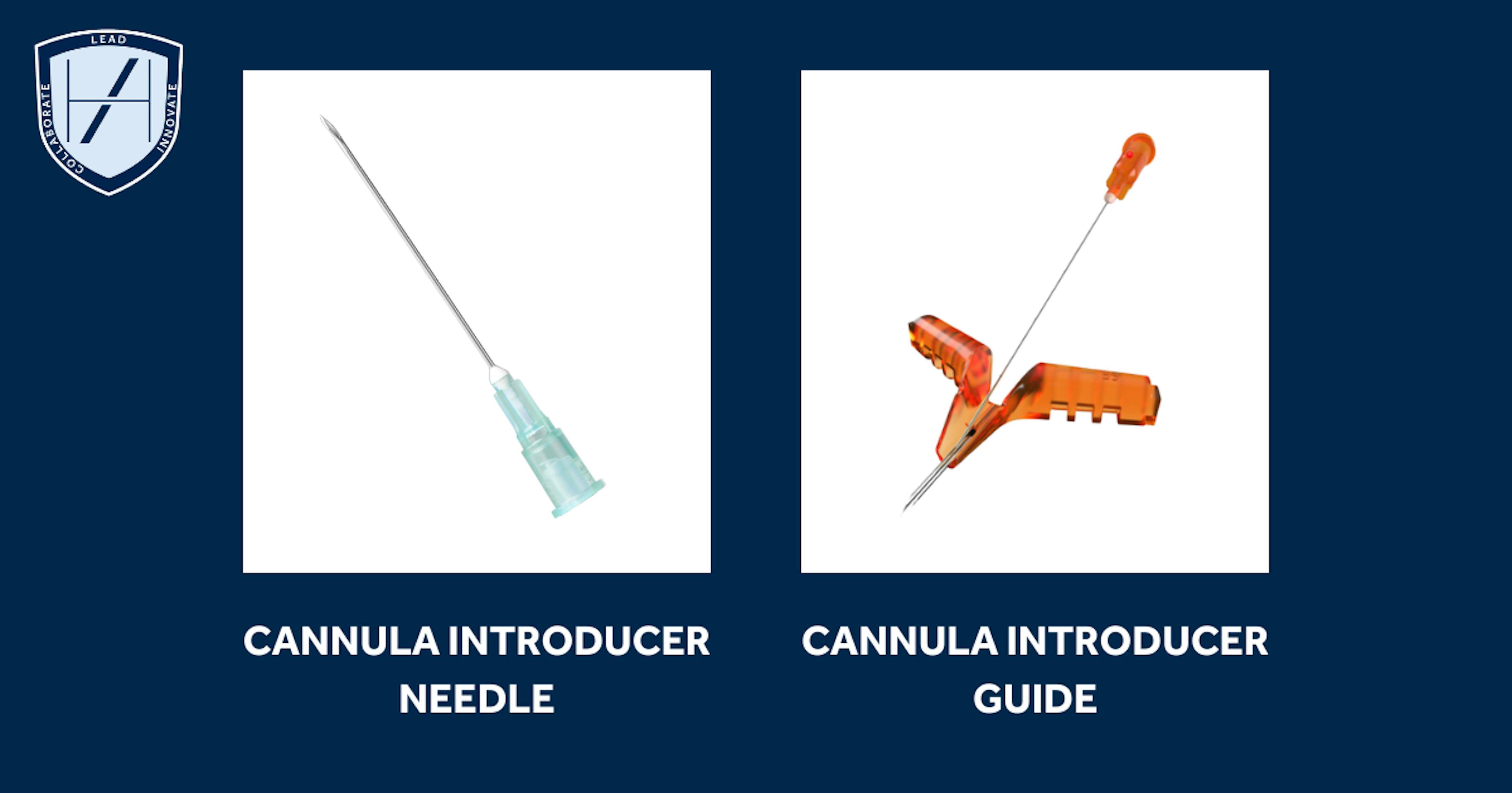 Difference between a cannula introducer needle and guide