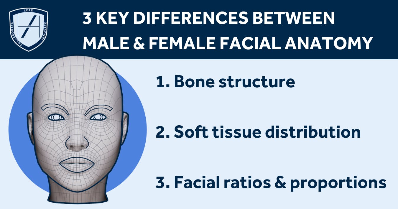 Key Differences Between Male & Female Facial Anatomy
