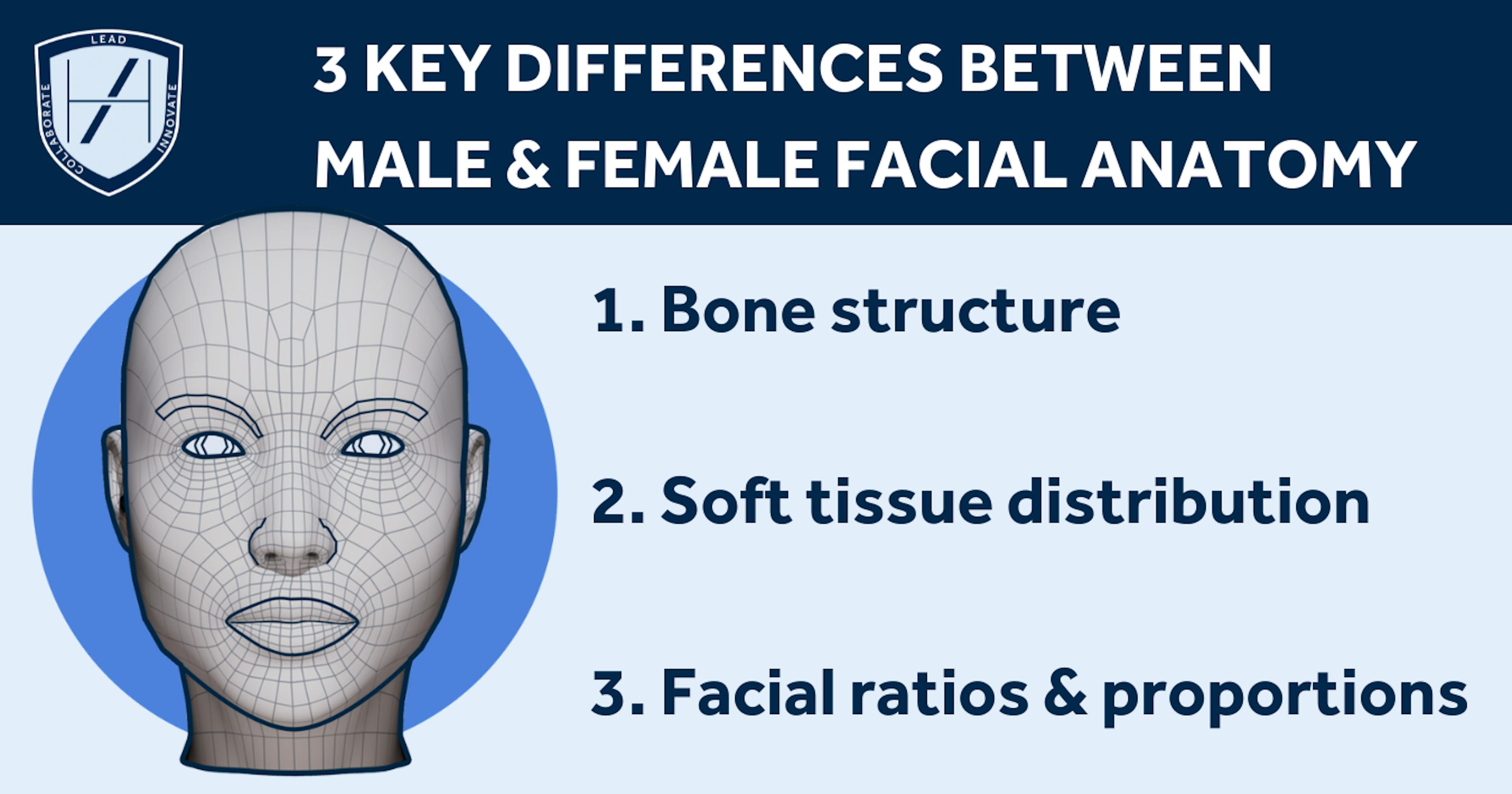 Key Differences Between Male & Female Facial Anatomy 