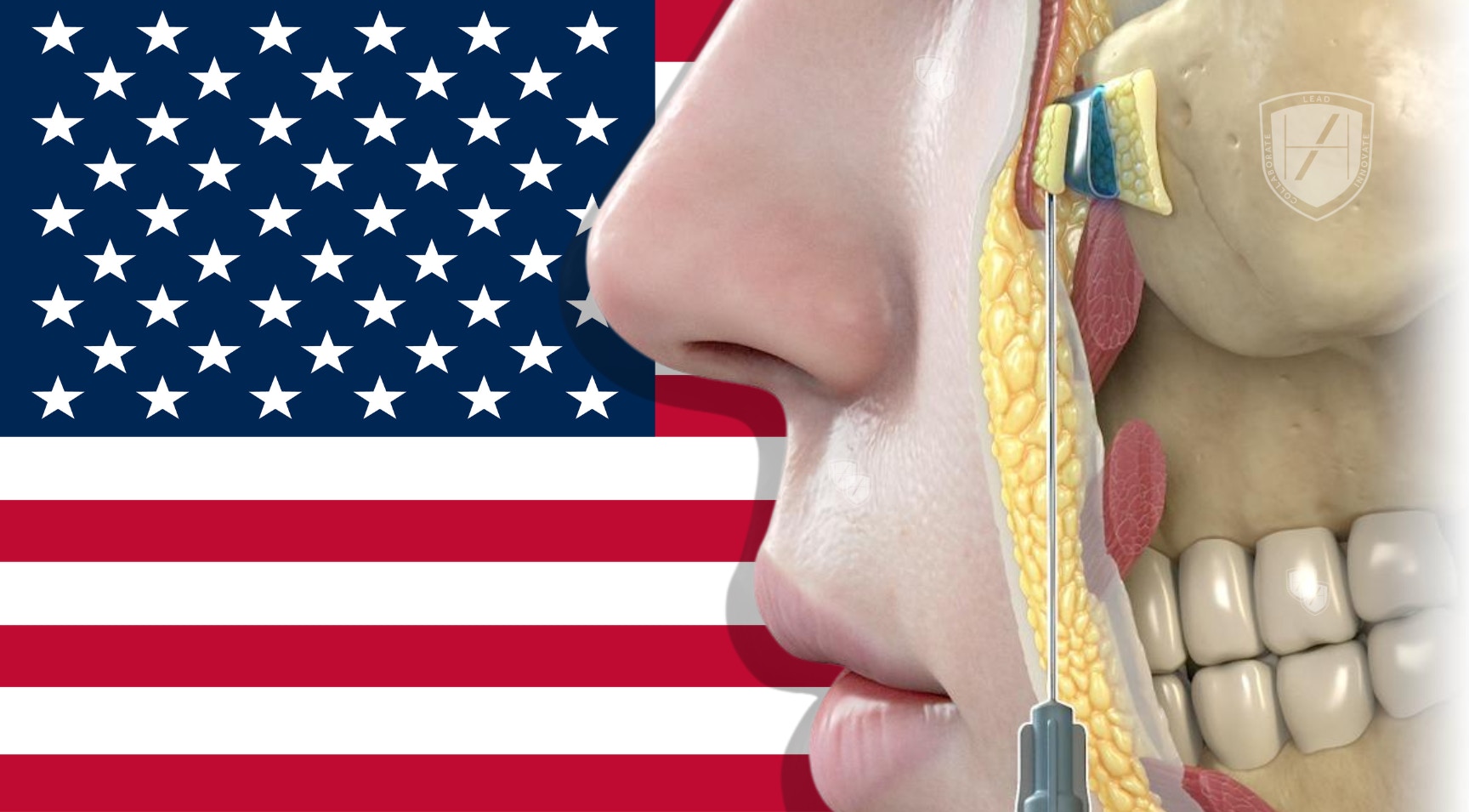 International aesthetics training for aesthetic physicians in North America