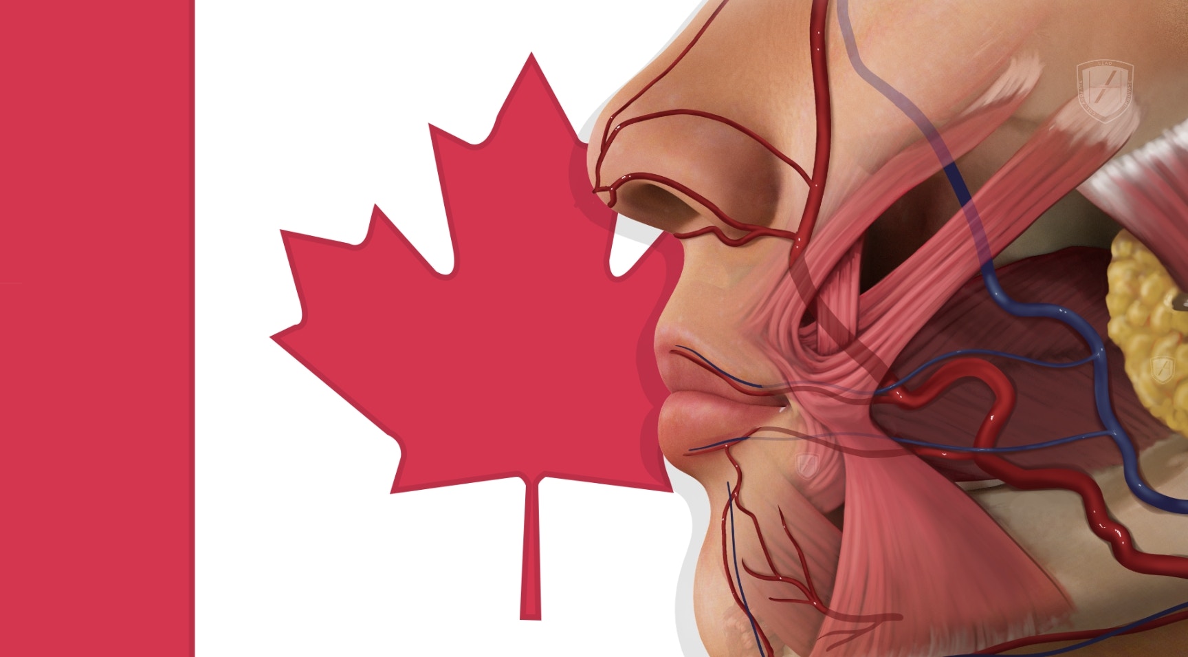 Medical Aesthetics Training Canada