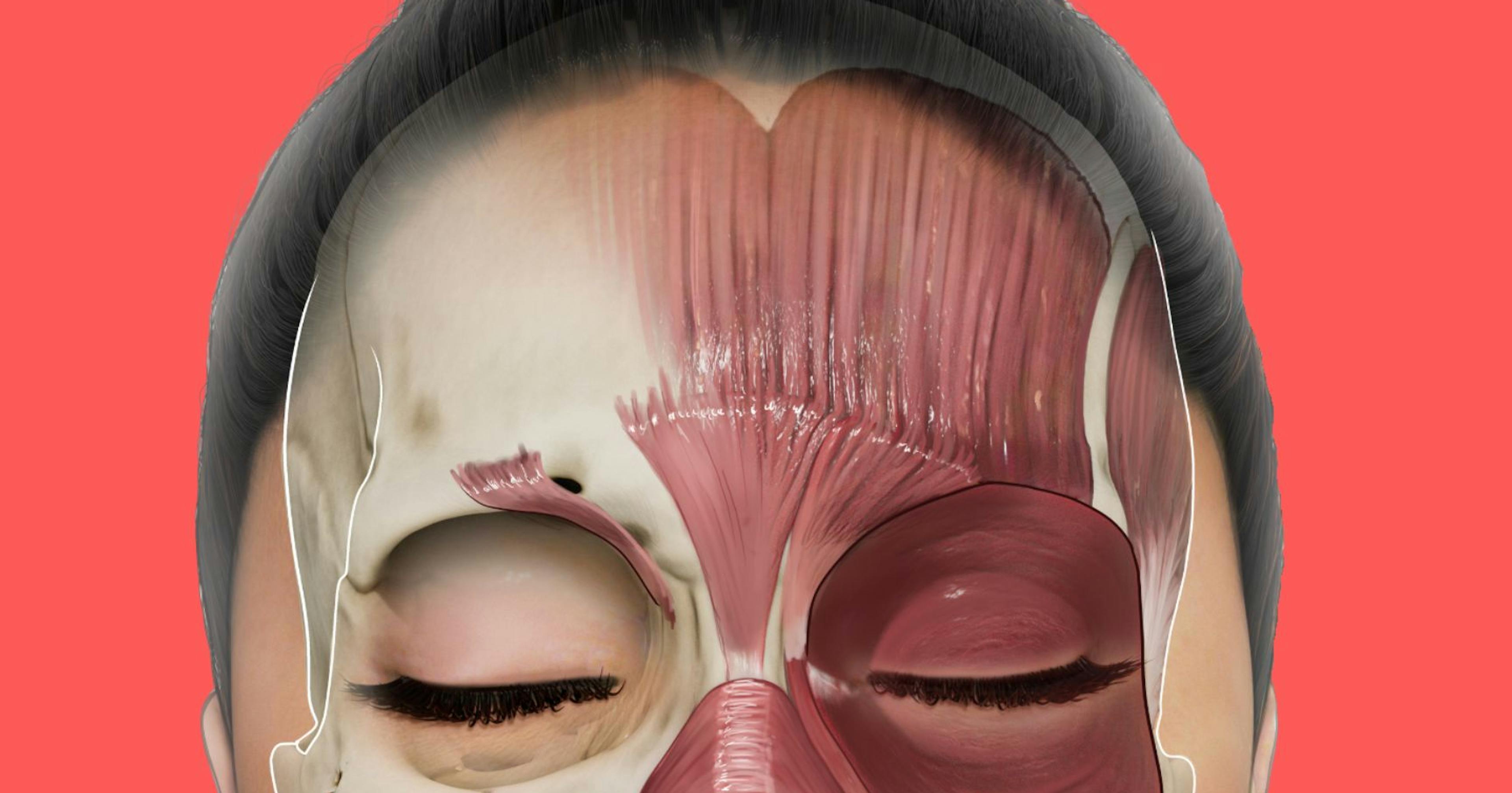 Facial Anatomy for Aesthetic Practitioners - the Line of Convergence or C-line