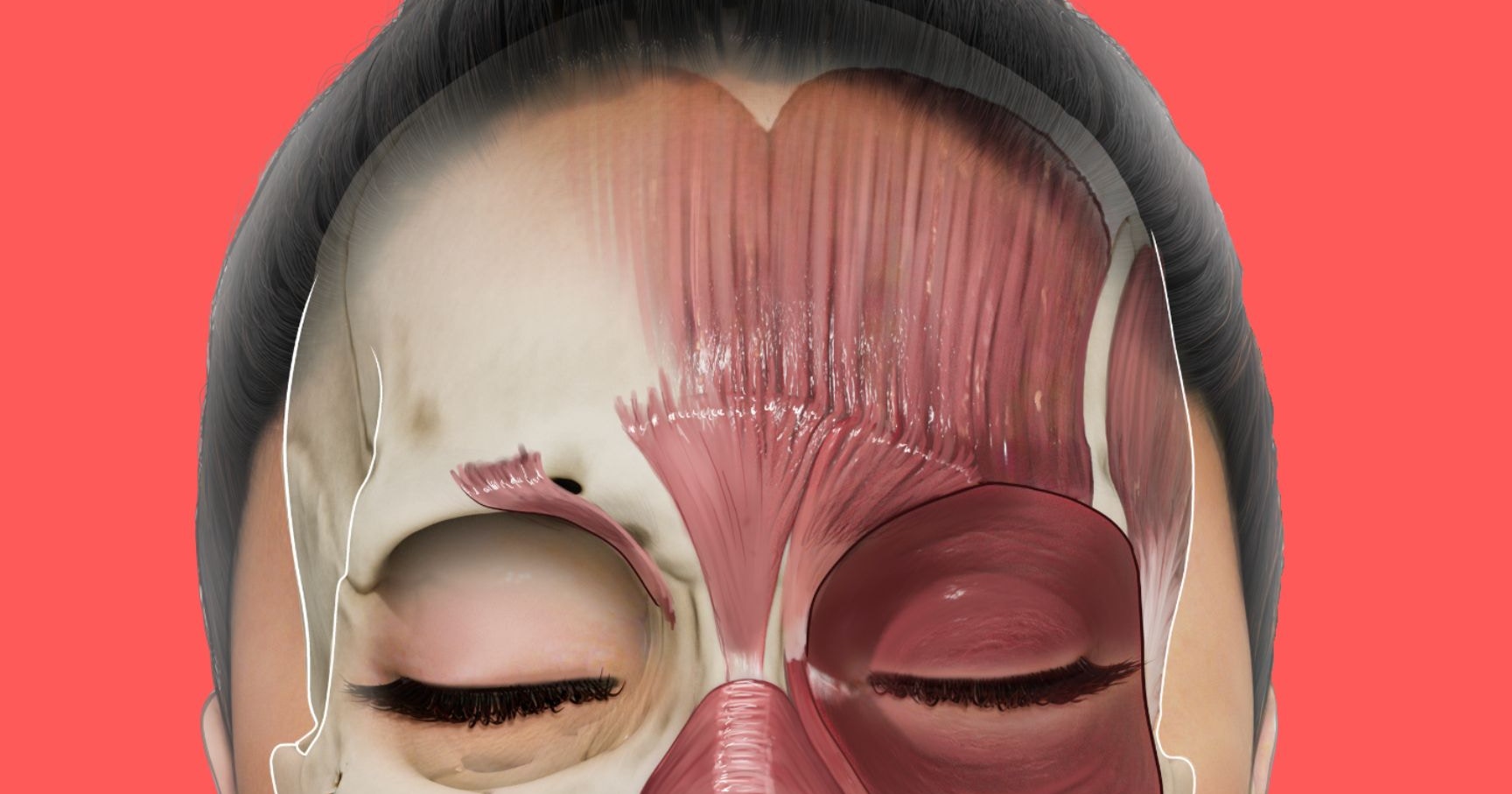 Facial Anatomy for Aesthetic Practitioners - the Line of Convergence or C-line