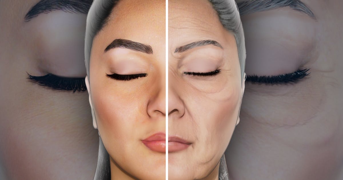 Facial and Skin Ageing Illustration