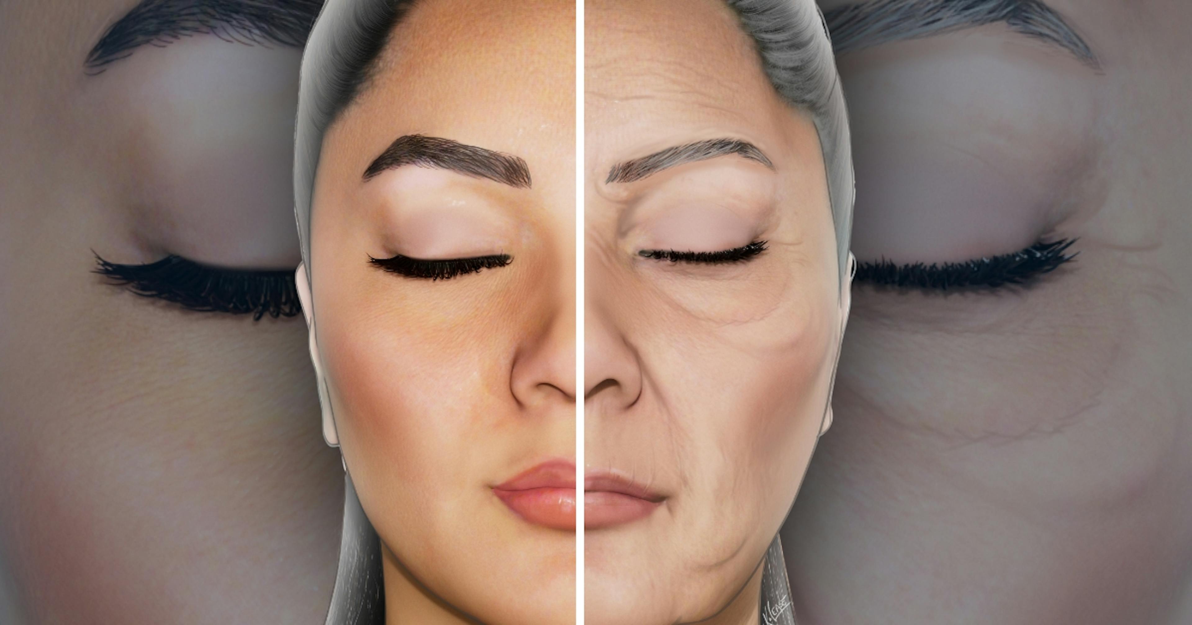 Facial and Skin Ageing Illustration
