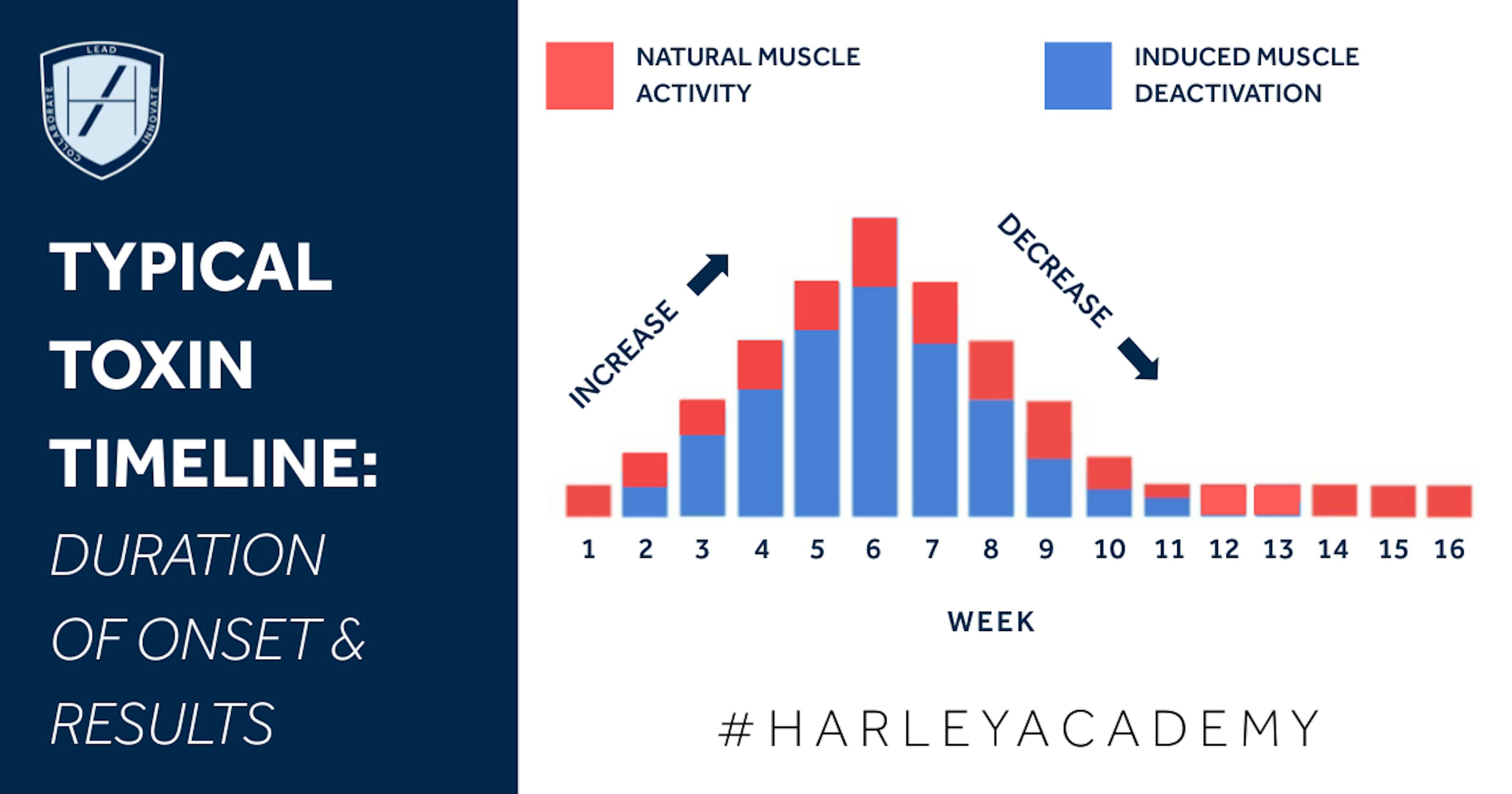 Harley Academy diagram of how long Botox takes to work and how long Botox results last
