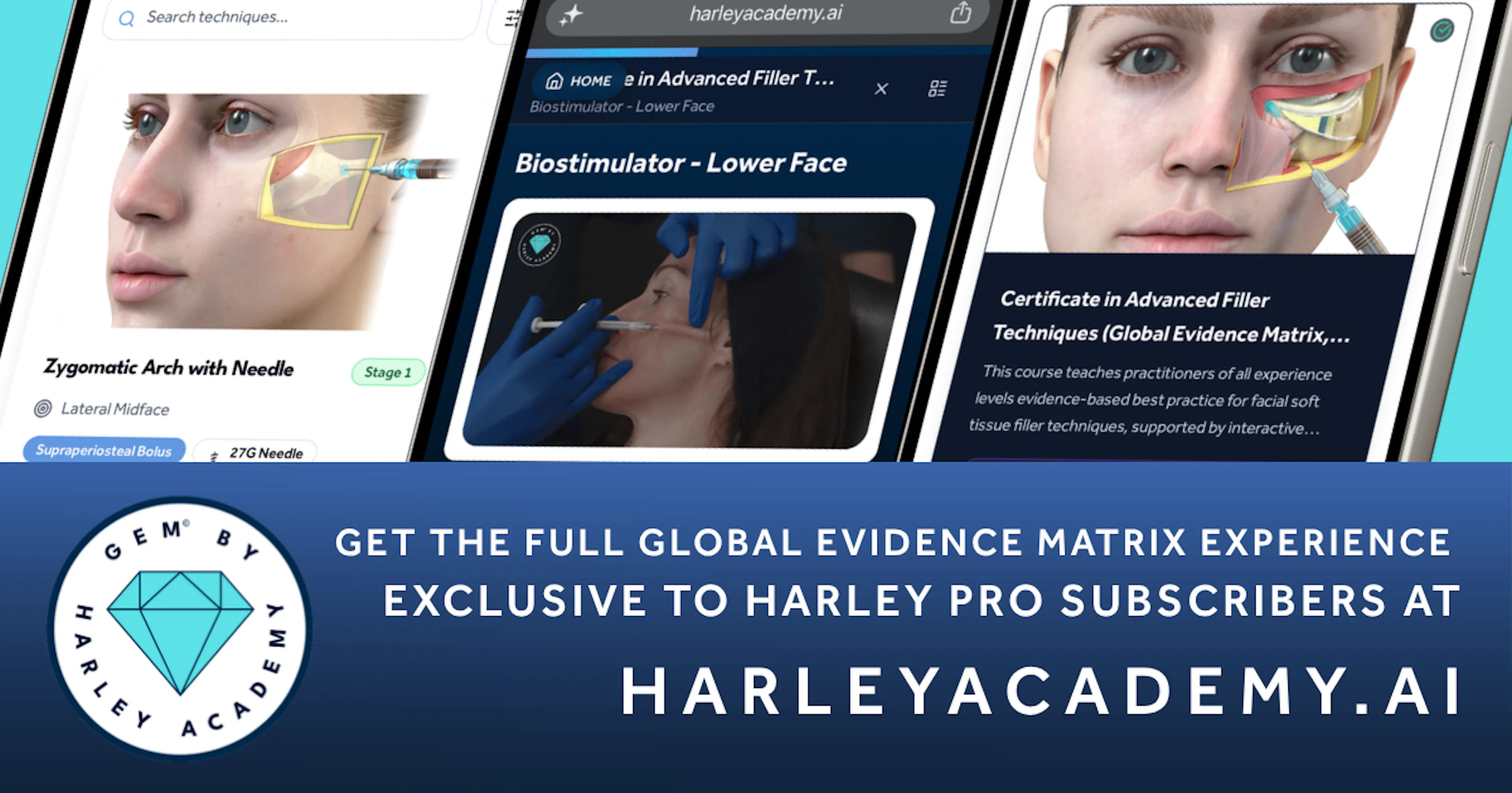 Examples of GEM - Global Evidence Matrix aesthetic education content available to medics on HarleyAcademy.ai with a Harley Pro subscription