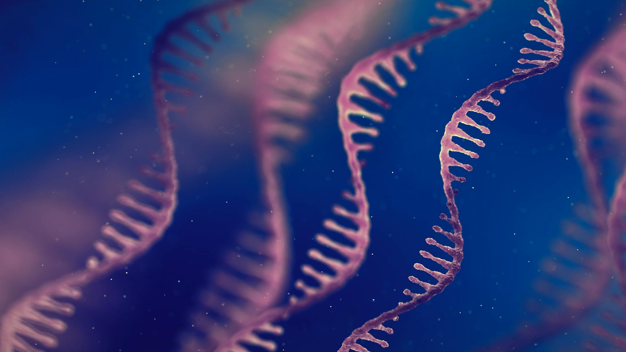 L'instabilité génomique - Marqueurs cellulaires de l'âge