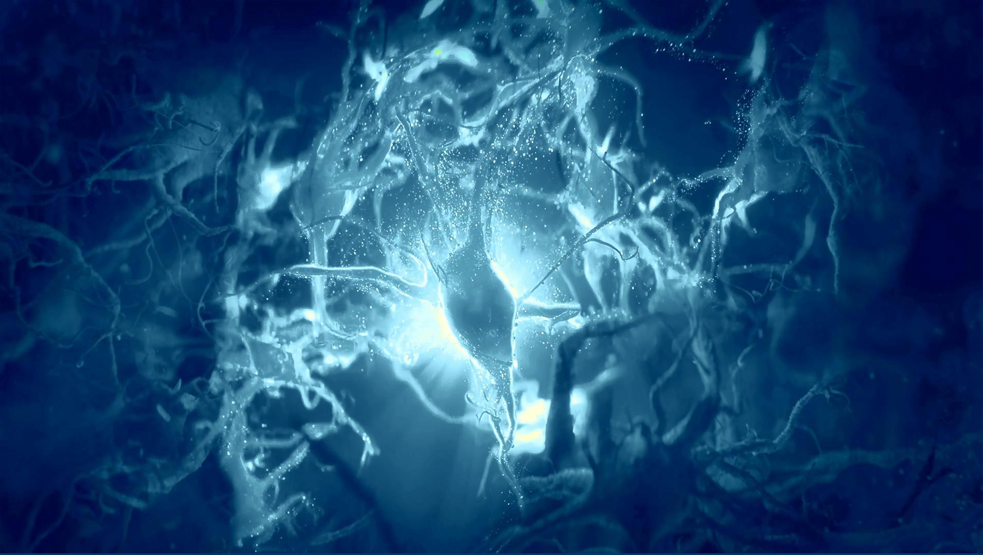 Altered intercellular communication - hallmarks of aging