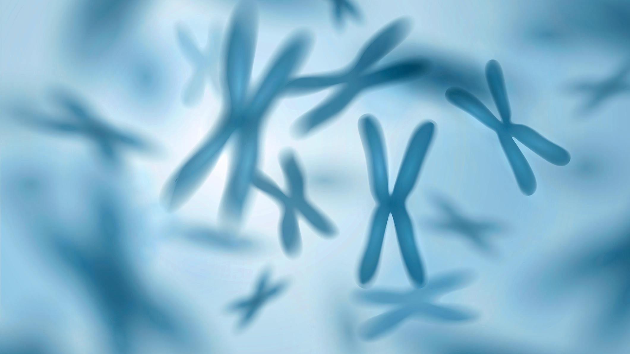 Telomere attrition - Hallmarks of aging