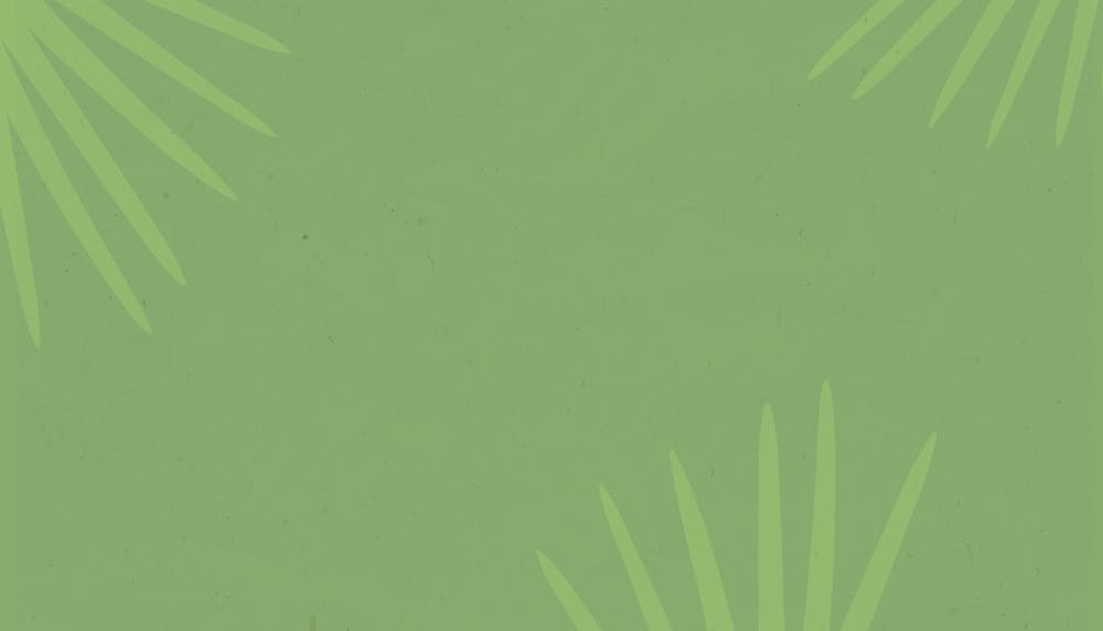 Light green background image of palms.