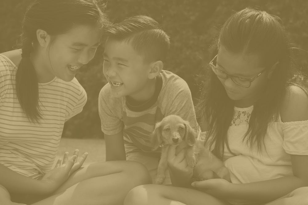 three children sitting down and laughing while holding a puppy