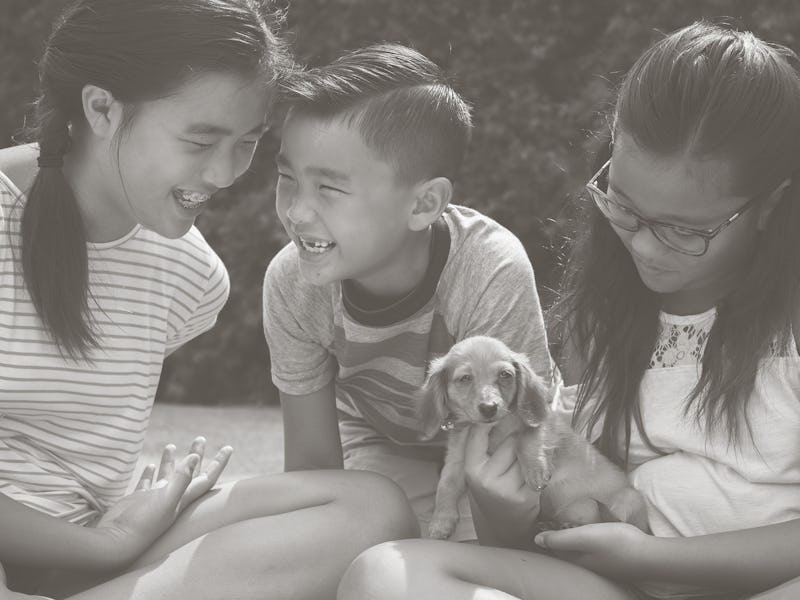 three children sitting down and laughing while holding a puppy