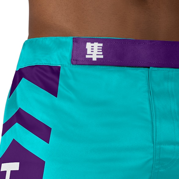 Teal White Icon Fights Shorts - Outer waist detail