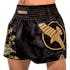 Falcon Muay Thai Shorts Black