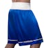 Pro Boxing Shorts, Trunks, Blue