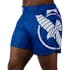 Blue/White Hayabusa Icon Mid-Thigh Fight Shorts - Main shot