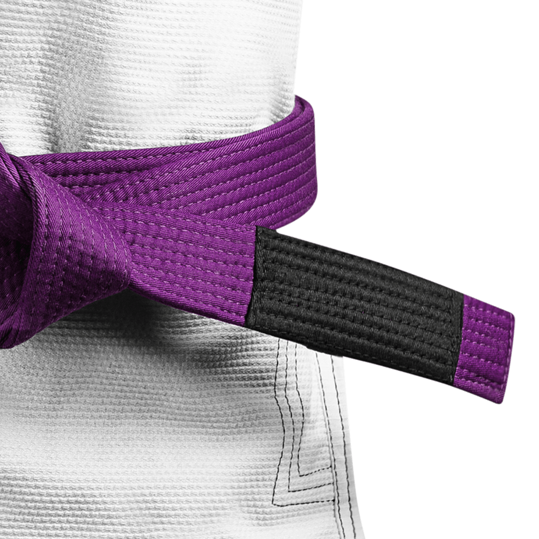 purple hayabusa