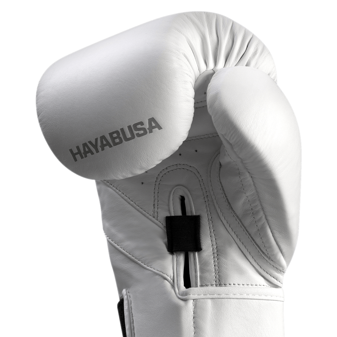 hayabusa t3 kanpeki review