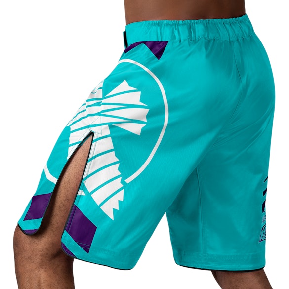 Teal White Icon Fights Shorts - Back with left perspective