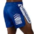 Blue/White Hayabusa Icon Mid-Thigh Fight Shorts - Back w right side perspective