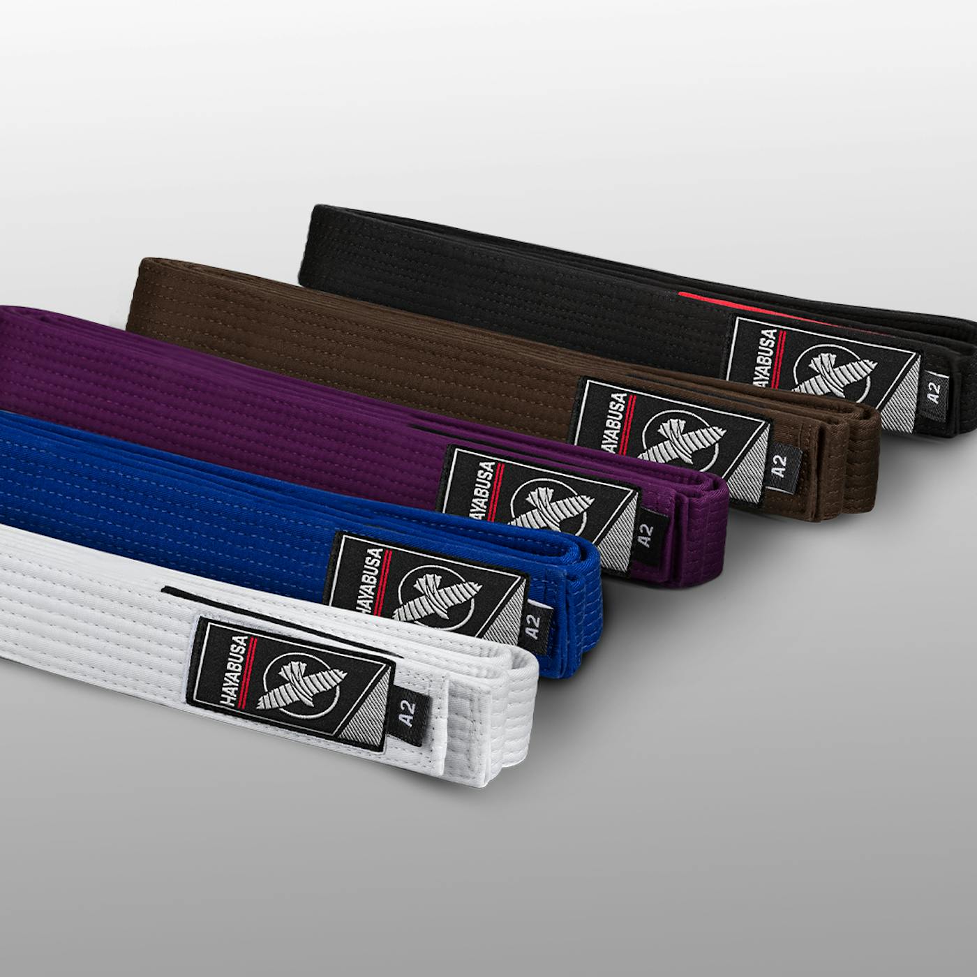 Five Jiu-Jitsu belts organized by rank: White, Blue, Purple, Brown, & Black. 