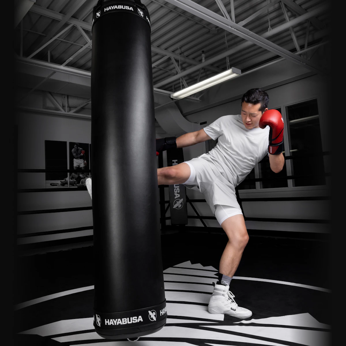 FISTRAGE Speed Ball Boxe: Migliora Velocità E Riflessi Con Il Pallone Girevole SB Golden Version