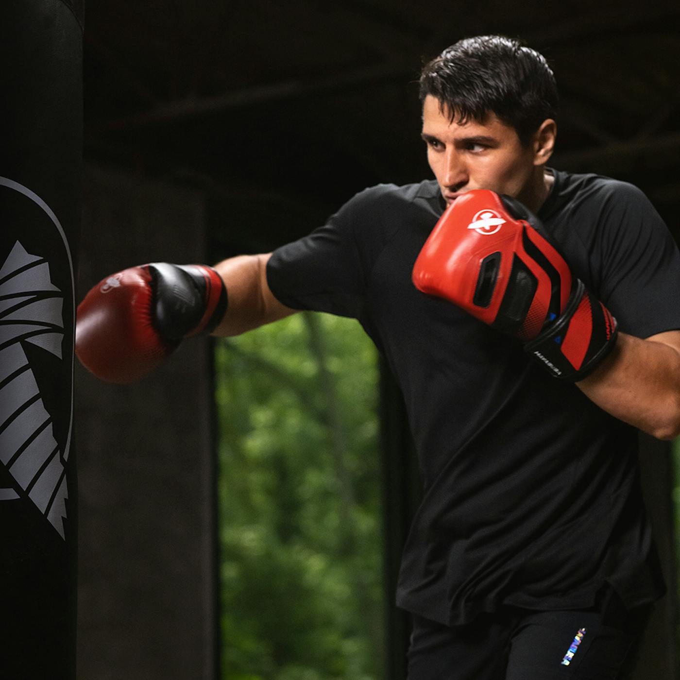 5 Reasons Hayabusa Boxing Gloves Dominate the Industry in Quality and Innovation