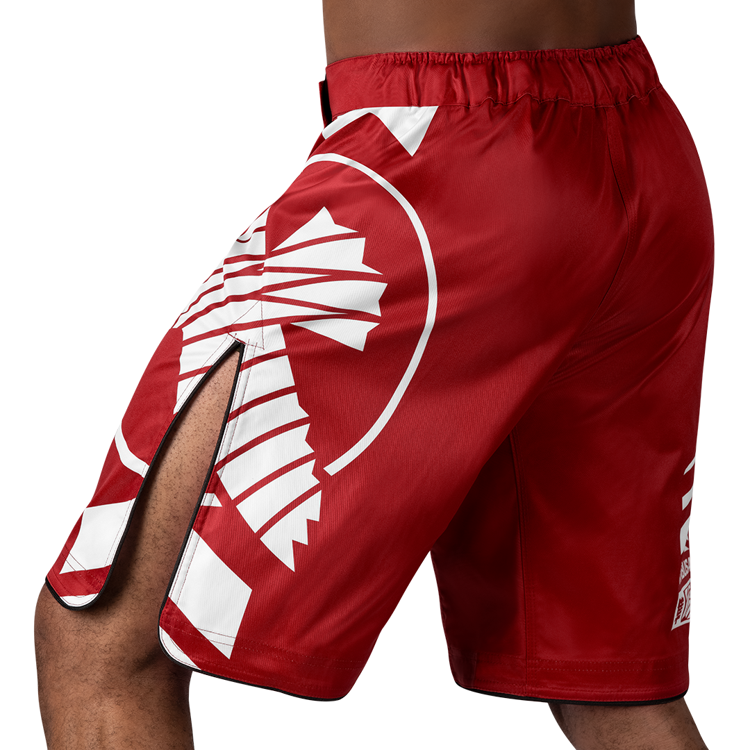 Hayabusa Icon Fight Shorts | Knee-Length MMA Shorts • Hayabusa