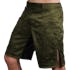 Hexagon Fight Shorts Green