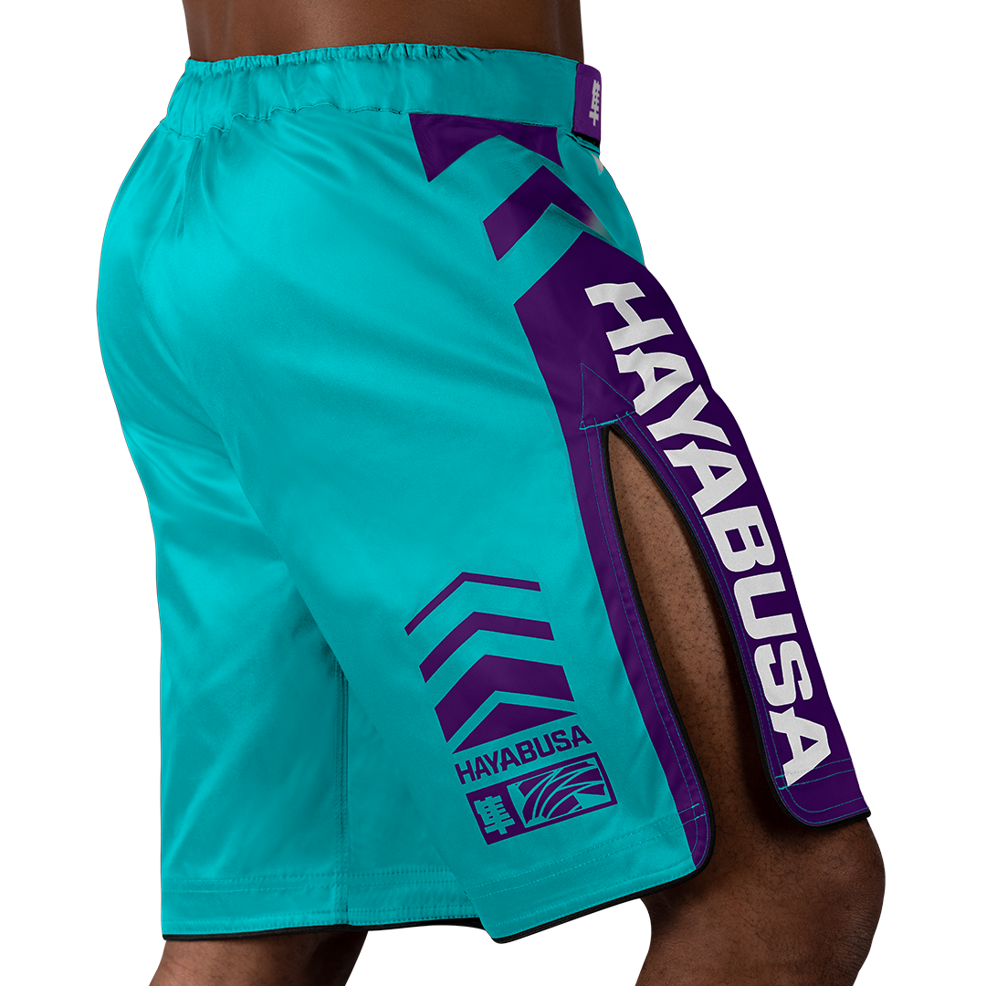 Teal White Icon Fights Shorts - Back with right perspective