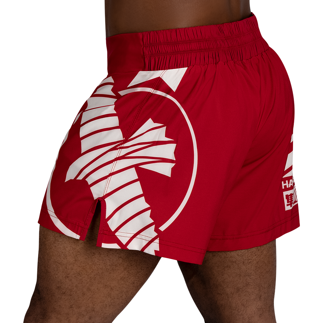 Red/White Hayabusa Icon Kickboxing Shorts - Back shot with left side perspective