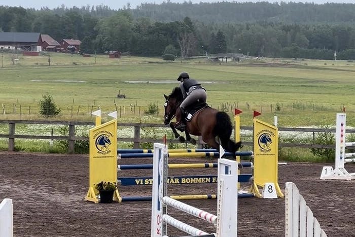 Komma ihåg bana