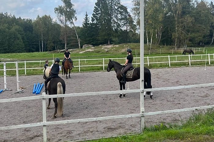 Hur kan jag bygga upp mitt självförtroende för att galoppera och hoppa igen?