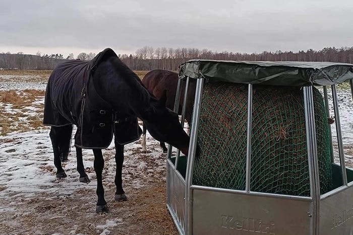 Hitta rätt hösilage
