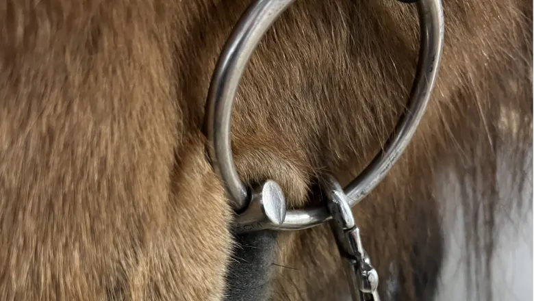 A snaffle that is too short