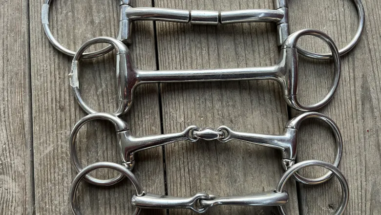 (from the top): a barrel bit, a mullen mouth (unjointed) snaffle, a double-jointed snaffle, and a single-jointed snaffle