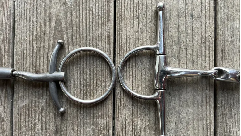 two fullcheek designs: a smaller one with short, curved cheeks and loose rings (left), and a model with longer, fixed cheeks (right)