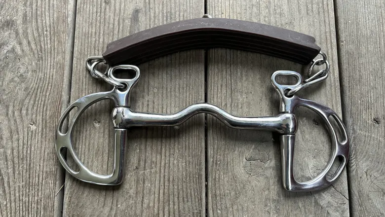 Kimblewick bit with a port.