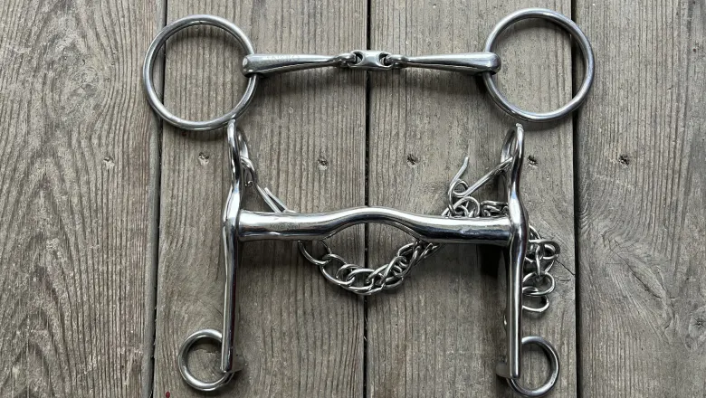 Double bridle with a double-jointed bridoon and a mullen-mouth weymouth with a port
