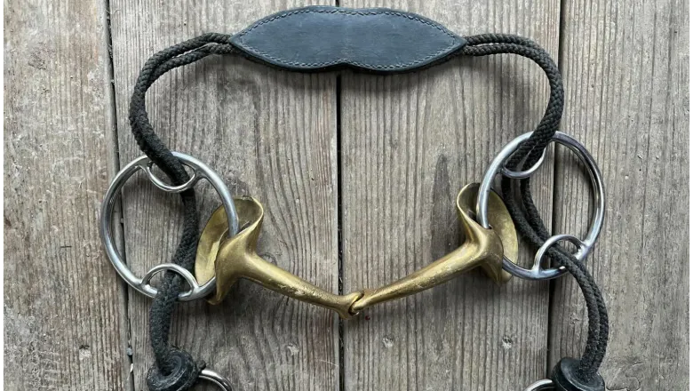Two-piece curb gag bit