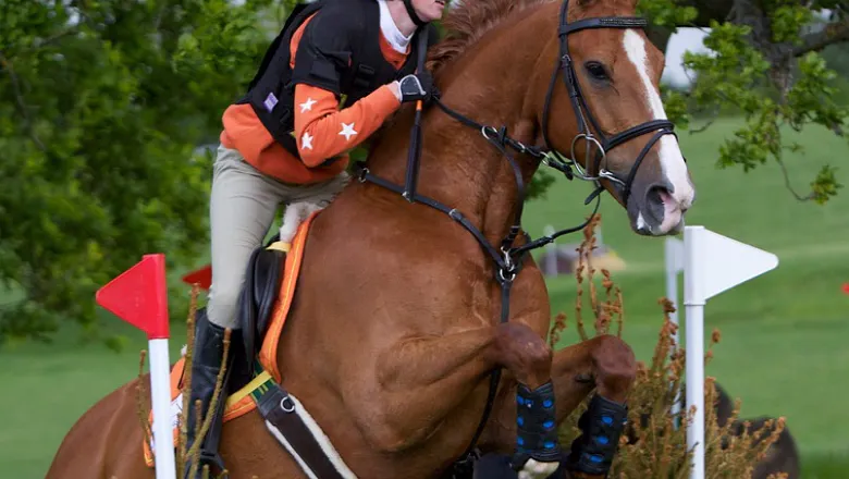 Gag bit on an eventing horse