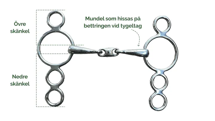 The parts of a Dutch gag bit