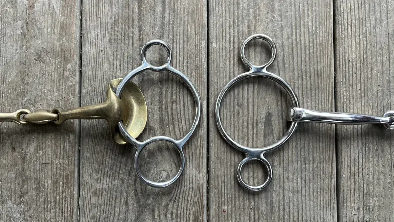 2.5-ring bit and 3-ring bit, also called the universal bit
