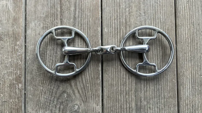 Swivel bit
