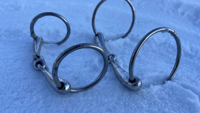 two different bits with loose rings: to the left a model with smaller rings, to the right one with larger rings.